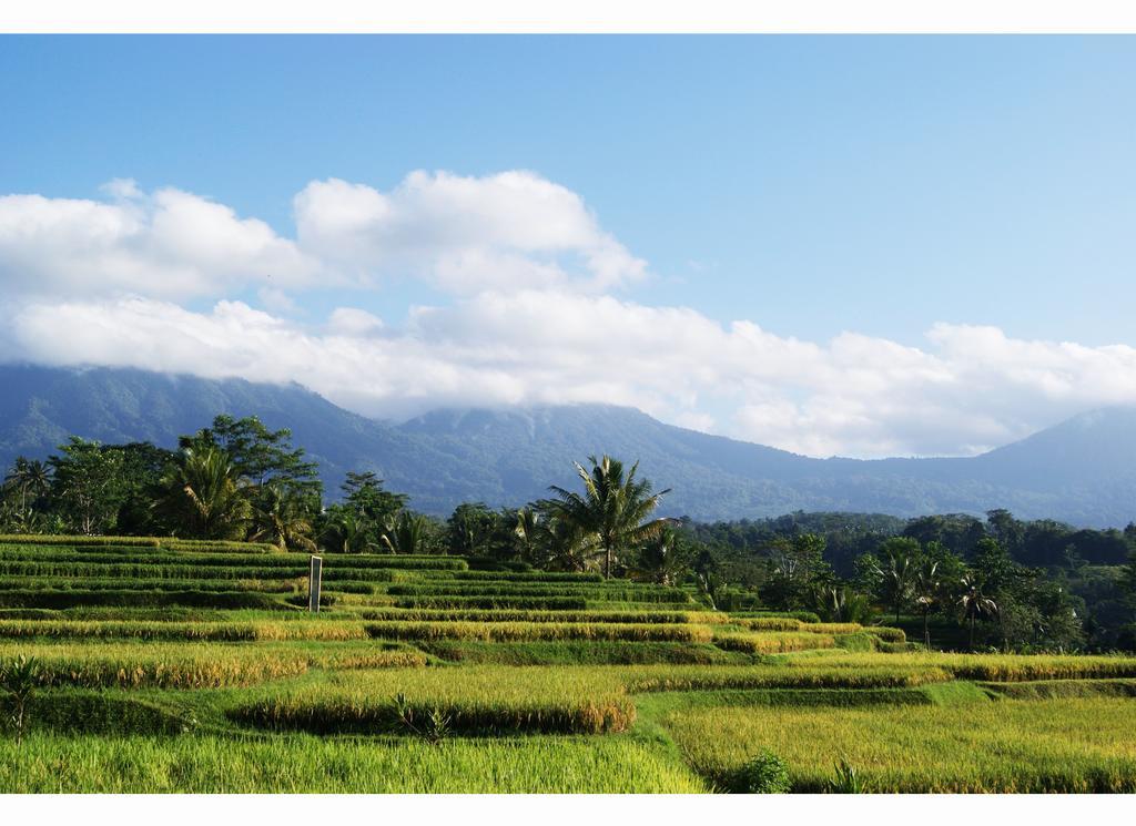 Ti Amo Bali Hotel Jatiluwih Szoba fotó