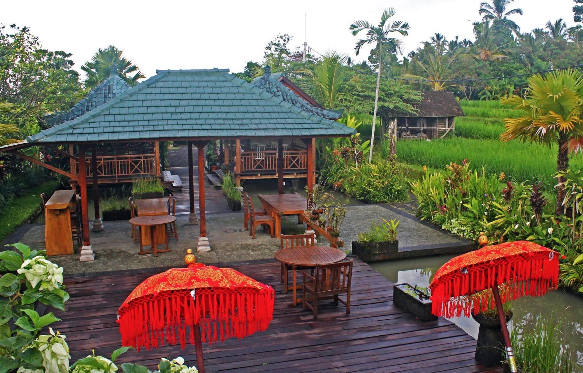 Ti Amo Bali Hotel Jatiluwih Kültér fotó