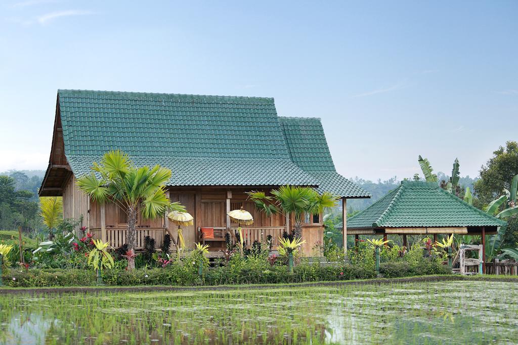 Ti Amo Bali Hotel Jatiluwih Kültér fotó