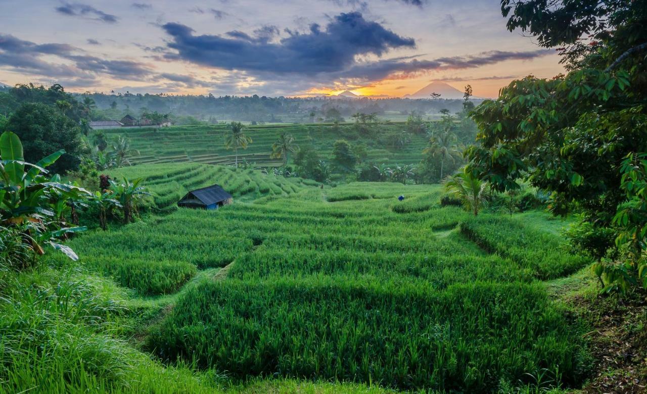 Ti Amo Bali Hotel Jatiluwih Kültér fotó